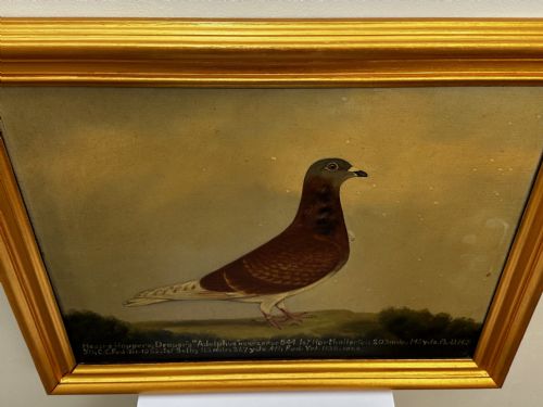OIL PAINTING RACING BIRD PIGEON ADOLPHUS BY EDWARD HENRY WINDRED - ADDITIONAL PHOTO 8
