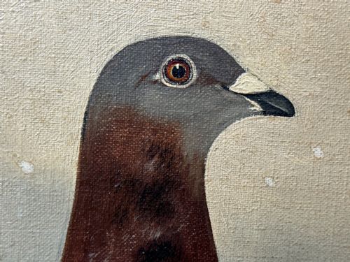 OIL PAINTING RACING BIRD PIGEON ADOLPHUS BY EDWARD HENRY WINDRED - ADDITIONAL PHOTO 13