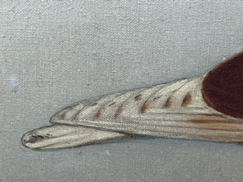 OIL PAINTING RACING BIRD PIGEON ADOLPHUS BY EDWARD HENRY WINDRED - ADDITIONAL PHOTO 15