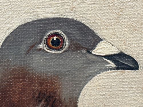 OIL PAINTING RACING BIRD PIGEON ADOLPHUS BY EDWARD HENRY WINDRED - ADDITIONAL PHOTO 19