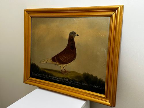 OIL PAINTING RACING BIRD PIGEON ADOLPHUS BY EDWARD HENRY WINDRED - ADDITIONAL PHOTO 21