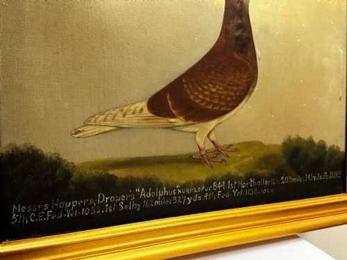OIL PAINTING RACING BIRD PIGEON ADOLPHUS BY EDWARD HENRY WINDRED - ADDITIONAL PHOTO 23