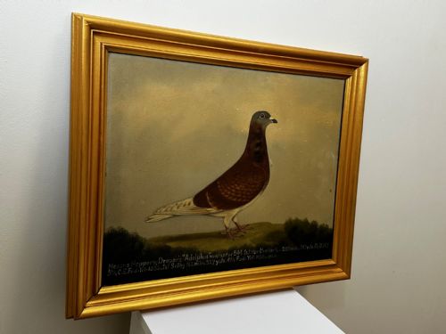 OIL PAINTING RACING BIRD PIGEON ADOLPHUS BY EDWARD HENRY WINDRED - ADDITIONAL PHOTO 24