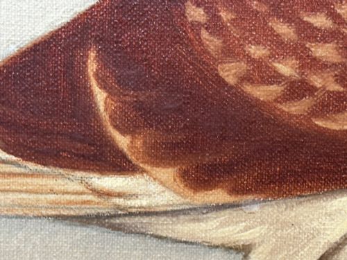 OIL PAINTING RACING BIRD PIGEON ADOLPHUS BY EDWARD HENRY WINDRED - ADDITIONAL PHOTO 27
