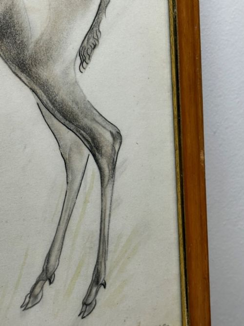 WATERCOLOUR PENCIL THE DEER SIGNED BY JOHN RATTENBURY SKEAPING - ADDITIONAL PHOTO 5