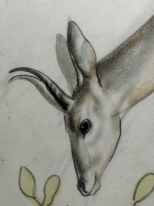 WATERCOLOUR PENCIL THE DEER SIGNED BY JOHN RATTENBURY SKEAPING - ADDITIONAL PHOTO 9
