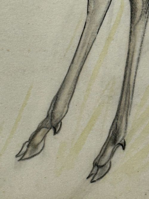 WATERCOLOUR PENCIL THE DEER SIGNED BY JOHN RATTENBURY SKEAPING - ADDITIONAL PHOTO 13
