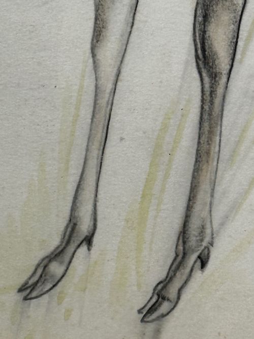 WATERCOLOUR PENCIL THE DEER SIGNED BY JOHN RATTENBURY SKEAPING - ADDITIONAL PHOTO 14