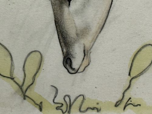 WATERCOLOUR PENCIL THE DEER SIGNED BY JOHN RATTENBURY SKEAPING - ADDITIONAL PHOTO 18