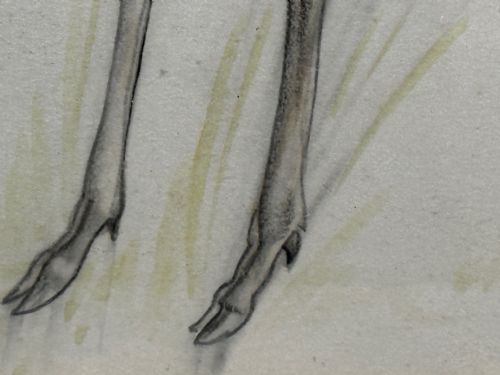 WATERCOLOUR PENCIL THE DEER SIGNED BY JOHN RATTENBURY SKEAPING - ADDITIONAL PHOTO 19