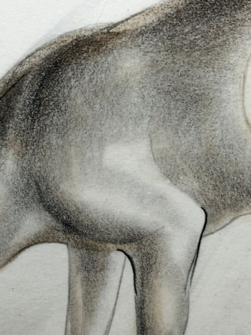 WATERCOLOUR PENCIL THE DEER SIGNED BY JOHN RATTENBURY SKEAPING - ADDITIONAL PHOTO 24