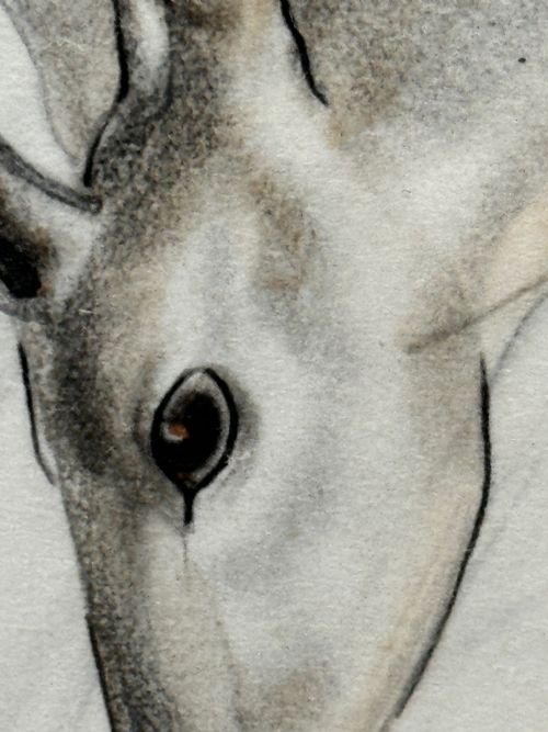 WATERCOLOUR PENCIL THE DEER SIGNED BY JOHN RATTENBURY SKEAPING - ADDITIONAL PHOTO 28