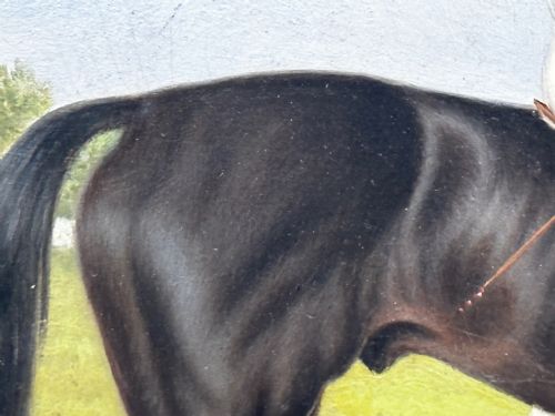 19TH CENTURY OIL PAINTING RACE HORSE HARVESTER JOCKEY DERBY WINNER - ADDITIONAL PHOTO 23