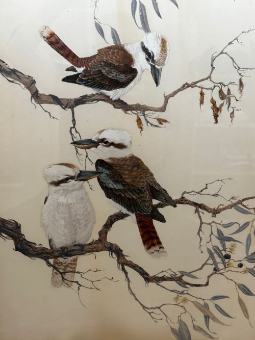 WATERCOLOUR GROUP 3 KOOKABURRAS BIRDS BUSH OUTBACK SIGNED ROBIN HILL - ADDITIONAL PHOTO 1