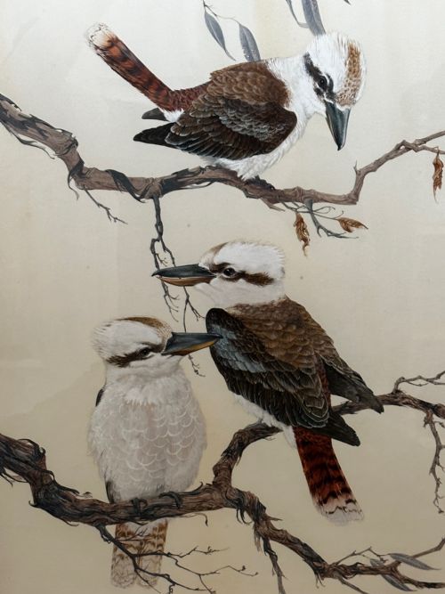 WATERCOLOUR GROUP 3 KOOKABURRAS BIRDS BUSH OUTBACK SIGNED ROBIN HILL - ADDITIONAL PHOTO 2