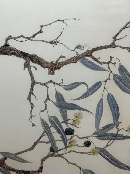 WATERCOLOUR GROUP 3 KOOKABURRAS BIRDS BUSH OUTBACK SIGNED ROBIN HILL - ADDITIONAL PHOTO 3
