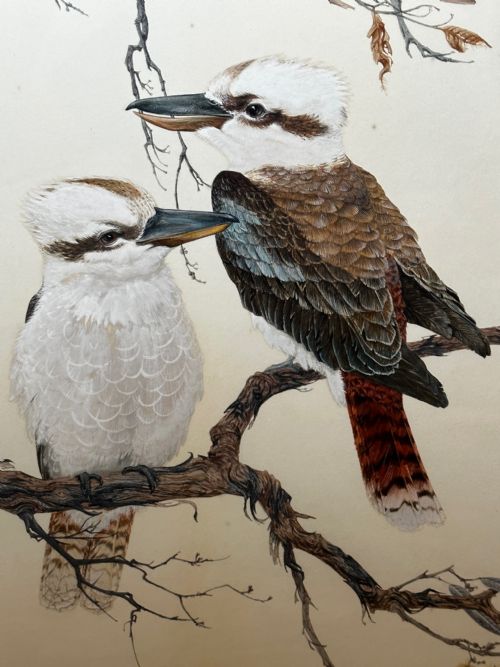 WATERCOLOUR GROUP 3 KOOKABURRAS BIRDS BUSH OUTBACK SIGNED ROBIN HILL - ADDITIONAL PHOTO 5