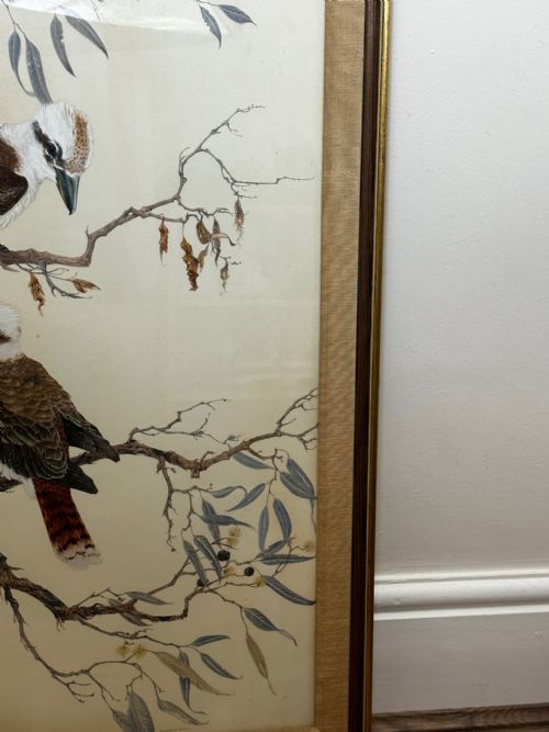 WATERCOLOUR GROUP 3 KOOKABURRAS BIRDS BUSH OUTBACK SIGNED ROBIN HILL - ADDITIONAL PHOTO 7