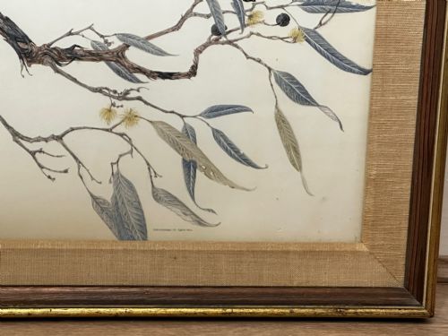 WATERCOLOUR GROUP 3 KOOKABURRAS BIRDS BUSH OUTBACK SIGNED ROBIN HILL - ADDITIONAL PHOTO 10