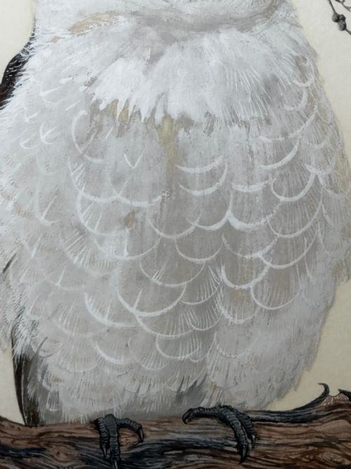 WATERCOLOUR GROUP 3 KOOKABURRAS BIRDS BUSH OUTBACK SIGNED ROBIN HILL - ADDITIONAL PHOTO 13