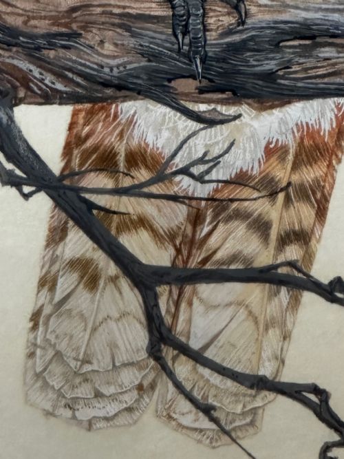 WATERCOLOUR GROUP 3 KOOKABURRAS BIRDS BUSH OUTBACK SIGNED ROBIN HILL - ADDITIONAL PHOTO 14