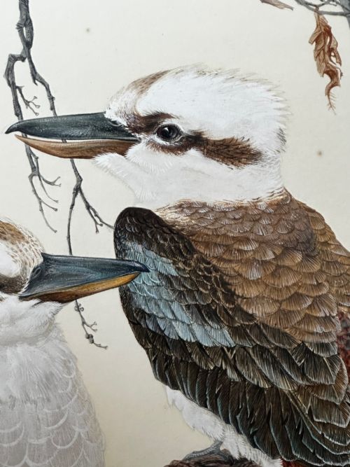 WATERCOLOUR GROUP 3 KOOKABURRAS BIRDS BUSH OUTBACK SIGNED ROBIN HILL - ADDITIONAL PHOTO 15