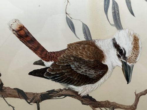 WATERCOLOUR GROUP 3 KOOKABURRAS BIRDS BUSH OUTBACK SIGNED ROBIN HILL - ADDITIONAL PHOTO 21