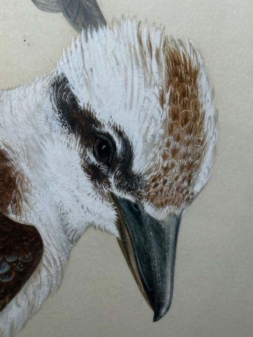 WATERCOLOUR GROUP 3 KOOKABURRAS BIRDS BUSH OUTBACK SIGNED ROBIN HILL - ADDITIONAL PHOTO 22