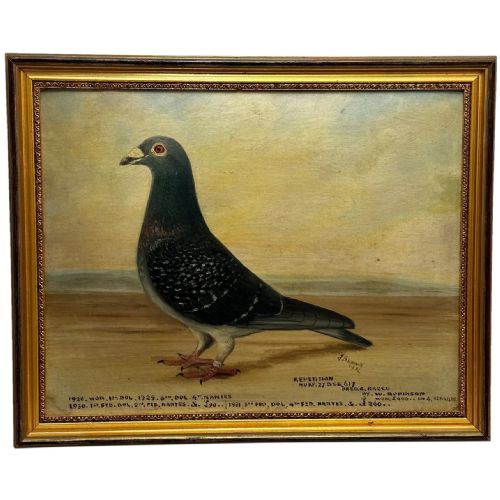 oil painting champion bird repetition pigeon by j brown bred raced - CATEGORY: ANTIQUE ART - DATED 1930
