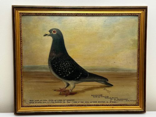 OIL PAINTING CHAMPION BIRD REPETITION PIGEON BY J BROWN BRED RACED - ADDITIONAL PHOTO 1