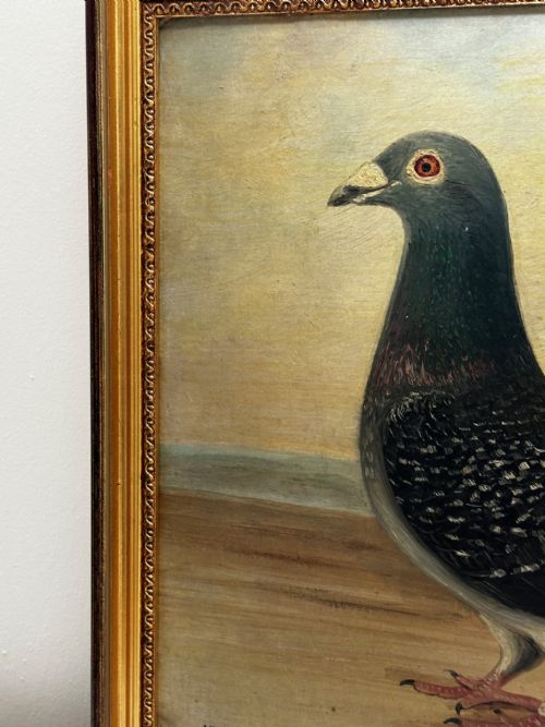OIL PAINTING CHAMPION BIRD REPETITION PIGEON BY J BROWN BRED RACED - ADDITIONAL PHOTO 3