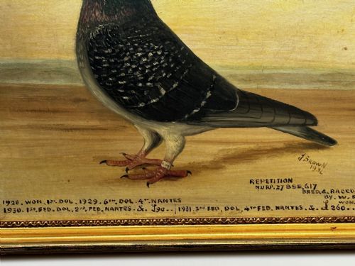 OIL PAINTING CHAMPION BIRD REPETITION PIGEON BY J BROWN BRED RACED - ADDITIONAL PHOTO 4