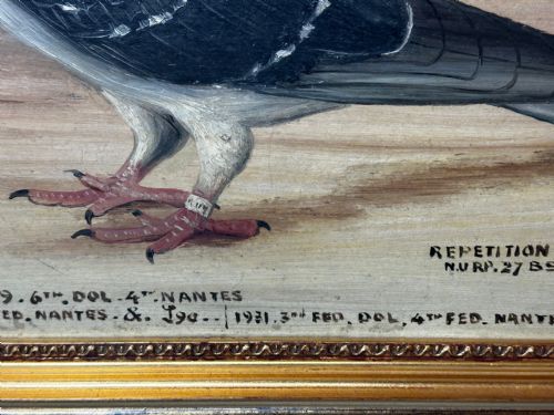 OIL PAINTING CHAMPION BIRD REPETITION PIGEON BY J BROWN BRED RACED - ADDITIONAL PHOTO 7