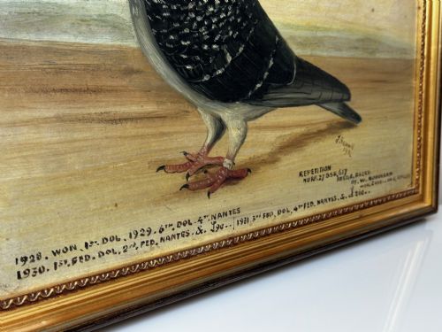 OIL PAINTING CHAMPION BIRD REPETITION PIGEON BY J BROWN BRED RACED - ADDITIONAL PHOTO 12