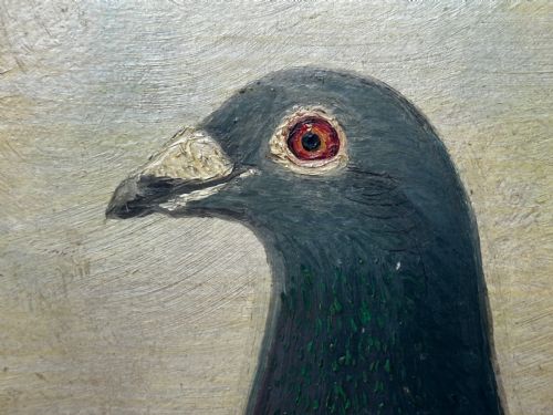 OIL PAINTING CHAMPION BIRD REPETITION PIGEON BY J BROWN BRED RACED - ADDITIONAL PHOTO 18