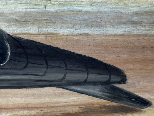 OIL PAINTING CHAMPION BIRD REPETITION PIGEON BY J BROWN BRED RACED - ADDITIONAL PHOTO 21