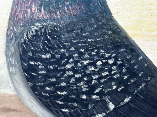 OIL PAINTING CHAMPION BIRD REPETITION PIGEON BY J BROWN BRED RACED - ADDITIONAL PHOTO 23