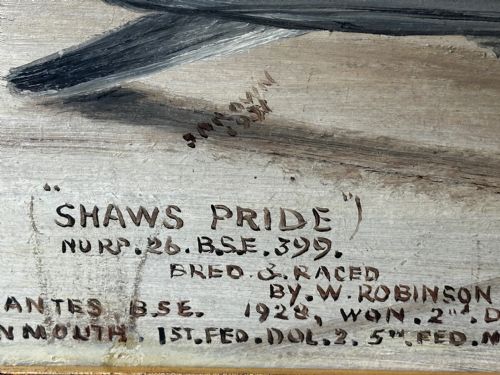 OIL PAINTING CHAMPION RACING PIGEON SHAWS PRIDE BY J BROWN - ADDITIONAL PHOTO 11