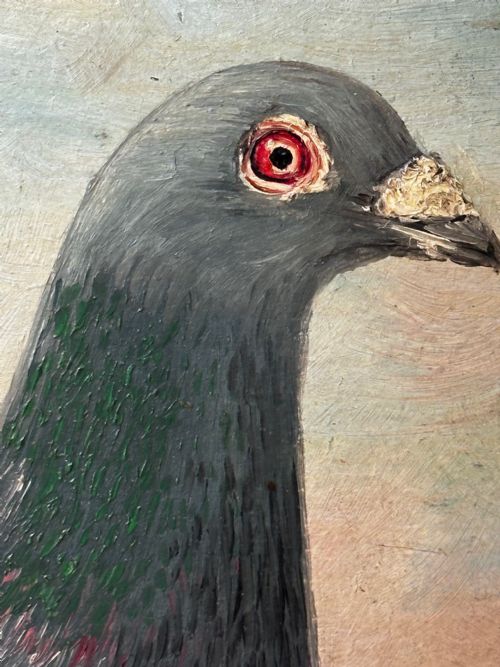 OIL PAINTING CHAMPION RACING PIGEON SHAWS PRIDE BY J BROWN - ADDITIONAL PHOTO 20