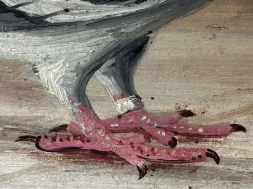 OIL PAINTING CHAMPION RACING PIGEON SHAWS PRIDE BY J BROWN - ADDITIONAL PHOTO 24