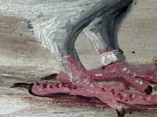 OIL PAINTING CHAMPION RACING PIGEON SHAWS PRIDE BY J BROWN - ADDITIONAL PHOTO 25