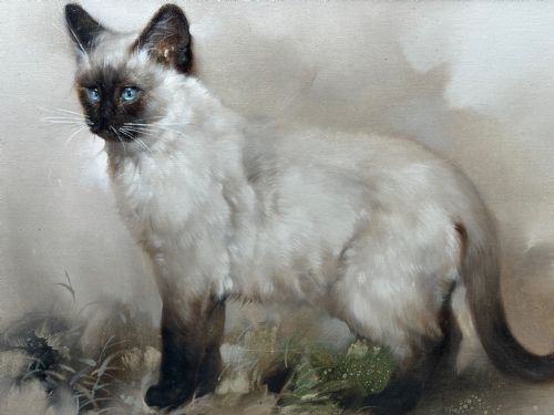 EARLY 20TH CENTURY OIL PAINTING PORTRAIT SIAMESE CAT ANIMAL C1920 - ADDITIONAL PHOTO 2