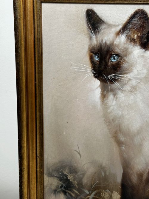 EARLY 20TH CENTURY OIL PAINTING PORTRAIT SIAMESE CAT ANIMAL C1920 - ADDITIONAL PHOTO 6