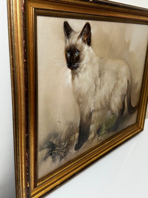 EARLY 20TH CENTURY OIL PAINTING PORTRAIT SIAMESE CAT ANIMAL C1920 - ADDITIONAL PHOTO 10