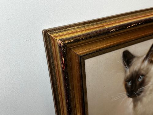 EARLY 20TH CENTURY OIL PAINTING PORTRAIT SIAMESE CAT ANIMAL C1920 - ADDITIONAL PHOTO 11
