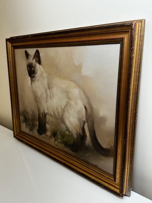 EARLY 20TH CENTURY OIL PAINTING PORTRAIT SIAMESE CAT ANIMAL C1920 - ADDITIONAL PHOTO 12