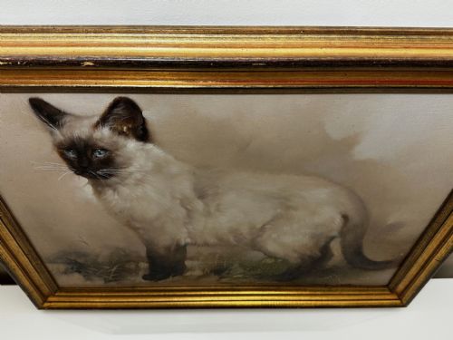 EARLY 20TH CENTURY OIL PAINTING PORTRAIT SIAMESE CAT ANIMAL C1920 - ADDITIONAL PHOTO 14