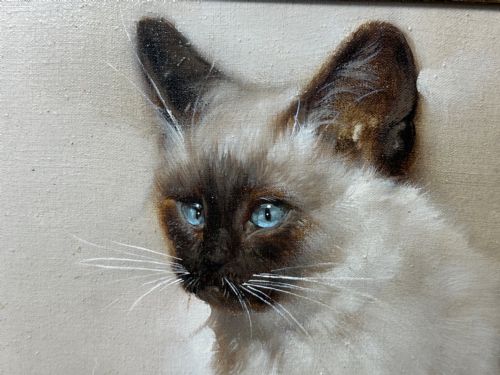 EARLY 20TH CENTURY OIL PAINTING PORTRAIT SIAMESE CAT ANIMAL C1920 - ADDITIONAL PHOTO 16