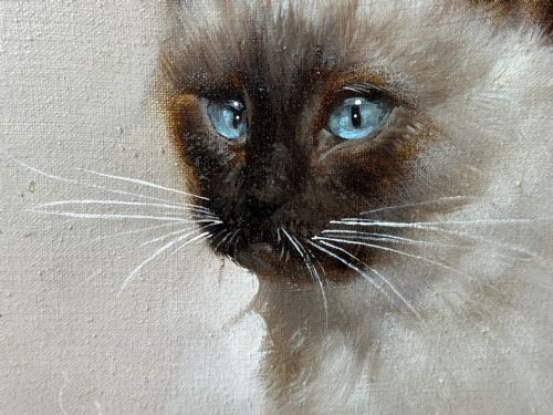 EARLY 20TH CENTURY OIL PAINTING PORTRAIT SIAMESE CAT ANIMAL C1920 - ADDITIONAL PHOTO 17