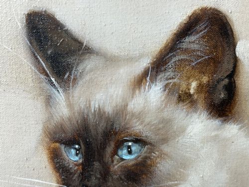 EARLY 20TH CENTURY OIL PAINTING PORTRAIT SIAMESE CAT ANIMAL C1920 - ADDITIONAL PHOTO 18